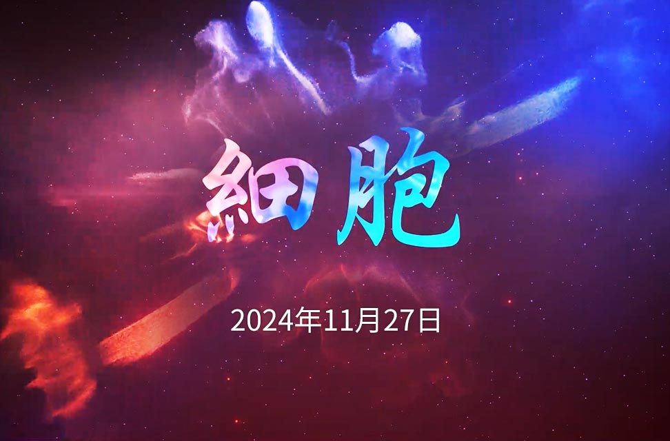 2024年11月27日—細胞