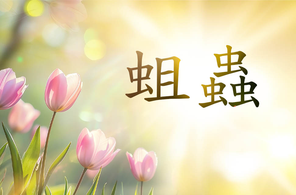 蛆蟲 2025-03-25