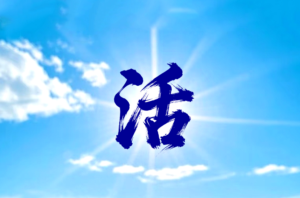 活 2025-11-05